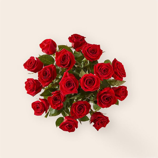 LONG STEM RED ROSE BOUQUET