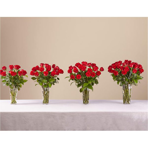 LONG STEM RED ROSE BOUQUET