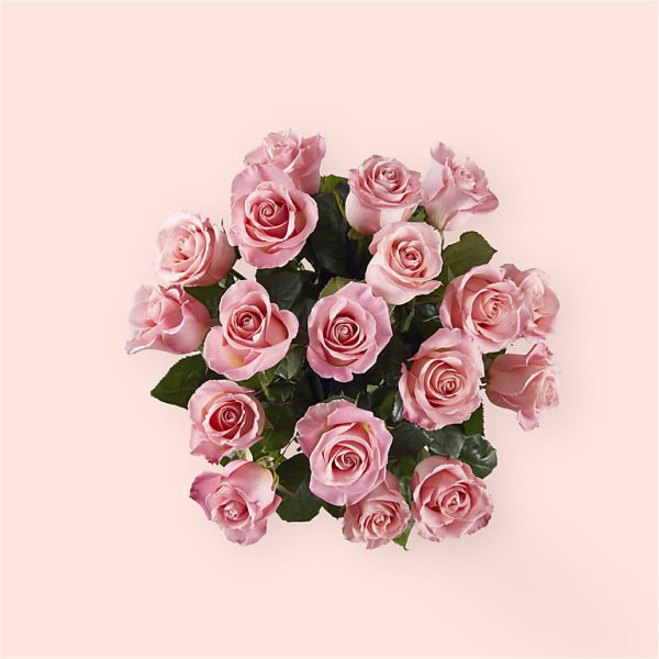 LONG STEM PINK ROSE BOUQUET4