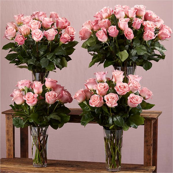 LONG STEM PINK ROSE BOUQUET